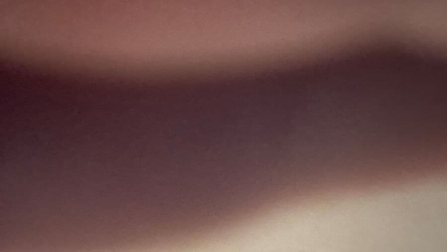 Kabinett der Visionär:innen