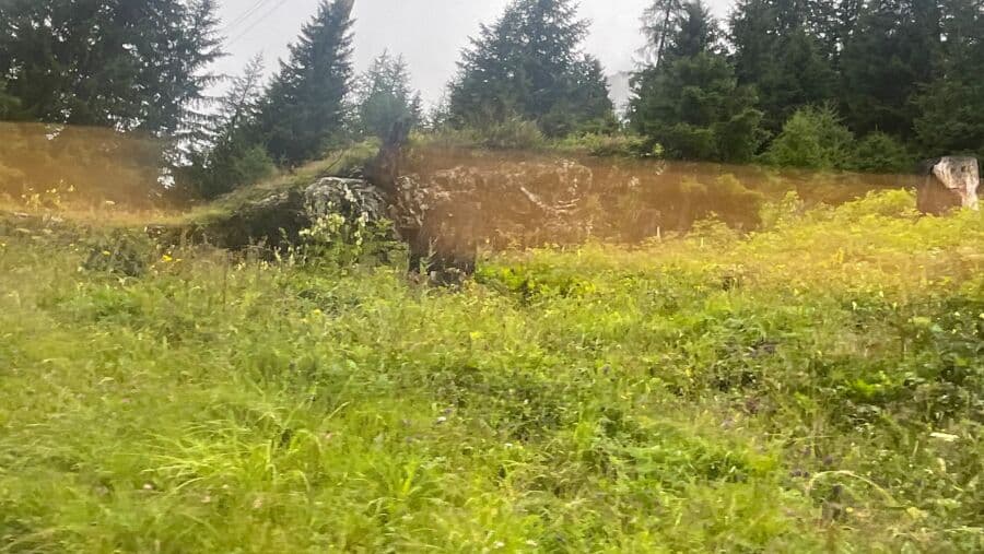 Das Tal der wilden Kinder