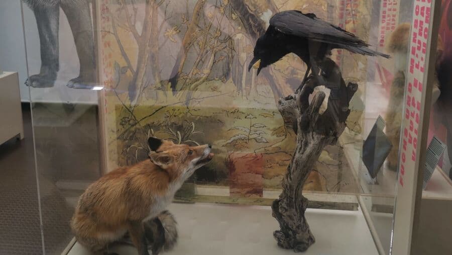 Vortrag: Schlau wie ein Fuchs – Wie intelligent sind Tiere?