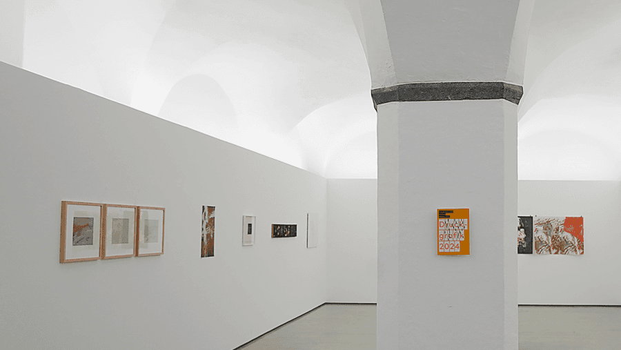 Ausstellung «Druckgrafik 2024»
