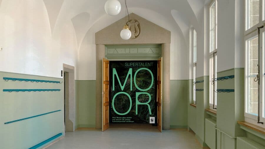 Interaktive Ausstellung «Supertalent Moor»